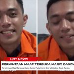 permintaan maaf terbuka Mario Dandy