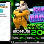 BUKTI JACKPOT BERMAIN SLOT HABANERO ATOMIC KITTENS 07 AGUSTUS 2023