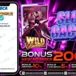 BUKTI JACKPOT BERMAIN WILD HARLEQUIN PG SOFT SLOT 06 AGUSTUS 2023