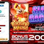 BUKTI KEMENANGAN FORTUNE MOUSE GACOR MEMBER SIMASBOLA 13 SEPTEMBER 2023