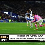 Brighton naik ke posisi kedua meski ditahan Southampton yang bersemangat