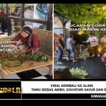 Viral Kembali ke Alam, Tamu Bebas Ambil Souvenir Sayur dan Buah