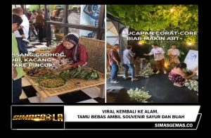 Viral Kembali ke Alam, Tamu Bebas Ambil Souvenir Sayur dan Buah