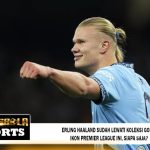 Erling Haaland Sudah Lewati Koleksi Gol 7 Ikon Premier League Ini, Siapa Saja?