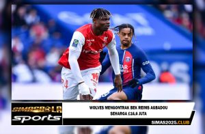 Wolves mengontrak bek Reims Agbadou seharga £16,6 juta